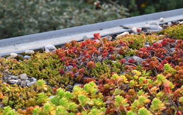 the cost of Langaller green roof installation