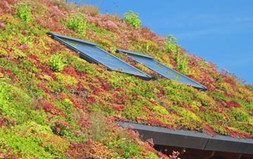 Langaller living roof systems
