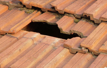 roof repair Langaller, Somerset